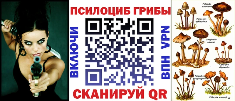 Галлюциногенные грибы Psilocybine cubensis  Нолинск 