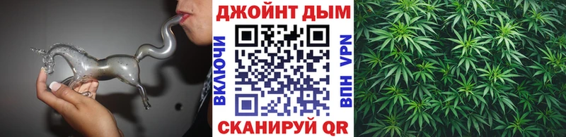 Бошки марихуана OG Kush Нолинск